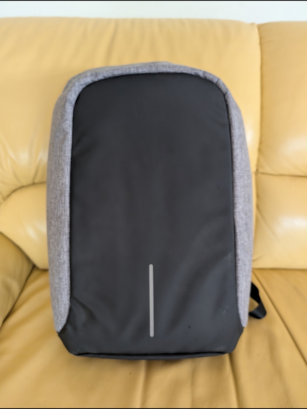 Anti-Theft Travel Backpack